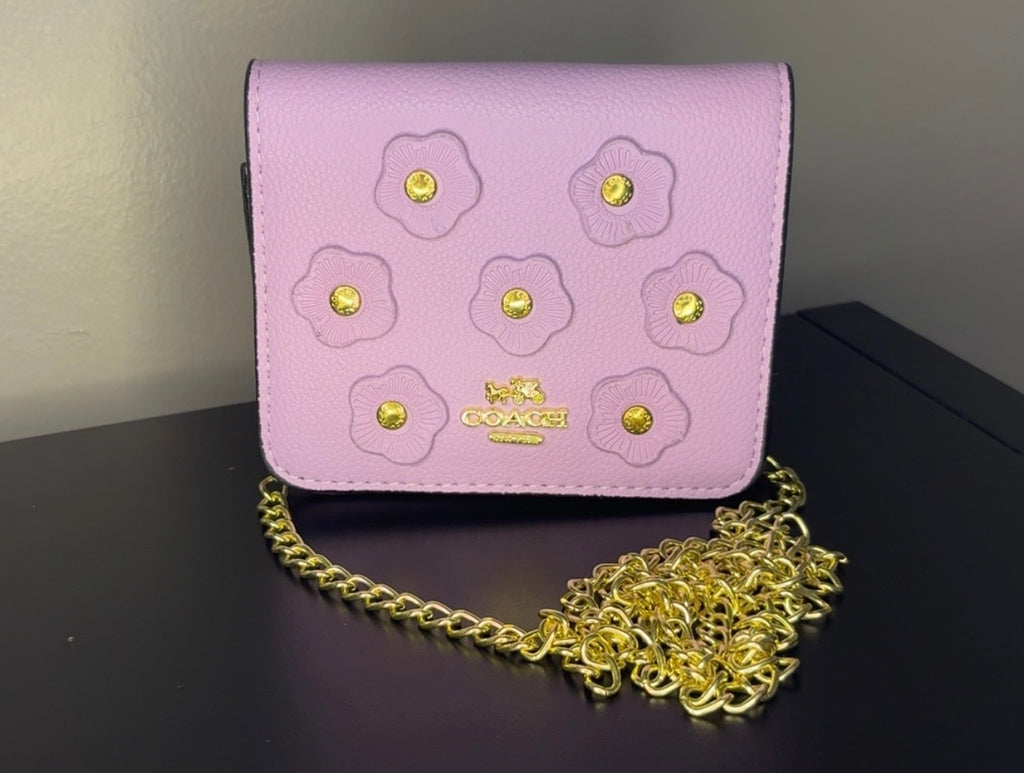 Coach Mini Crossbody bags
