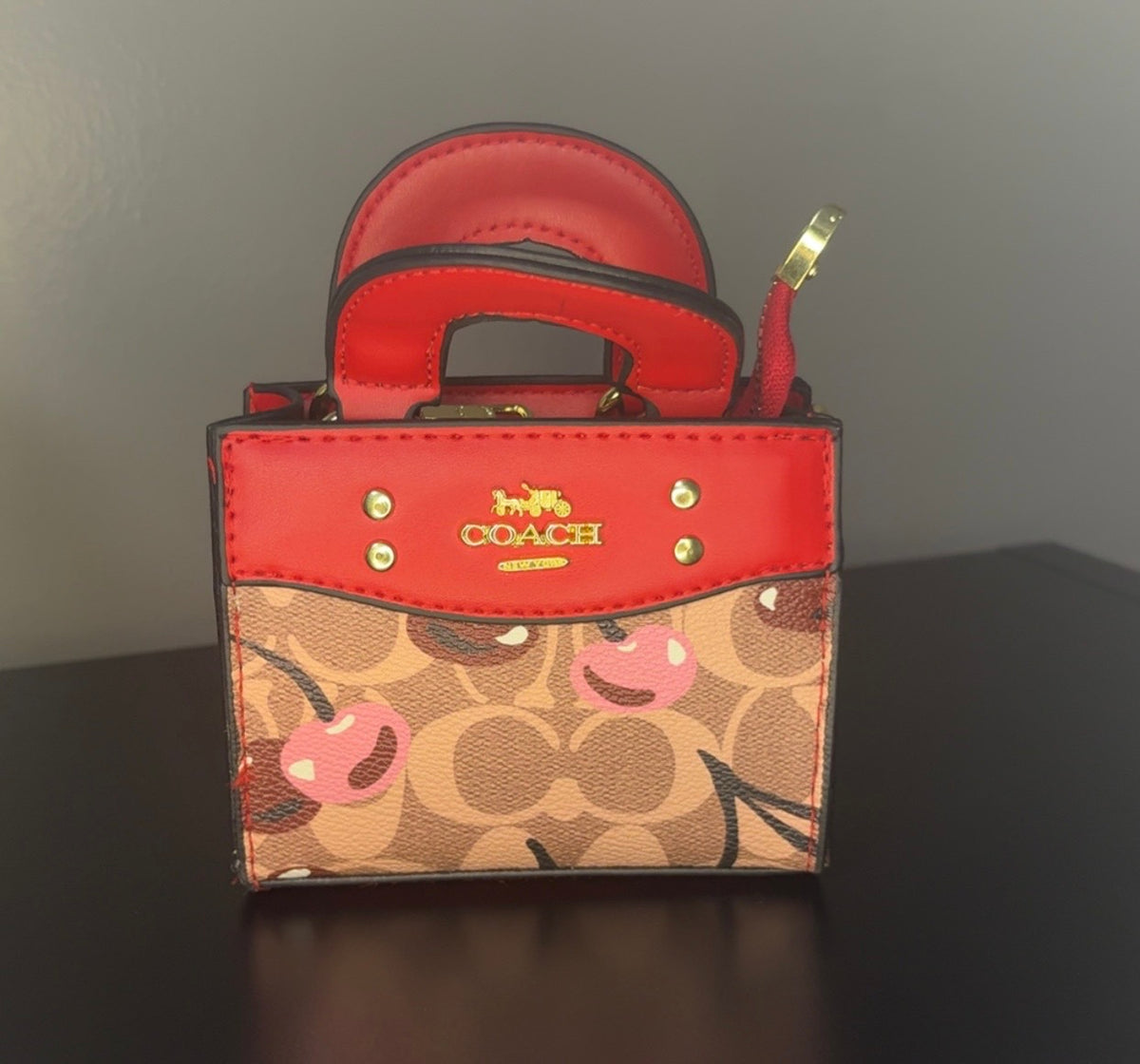 Coach mini crossbody